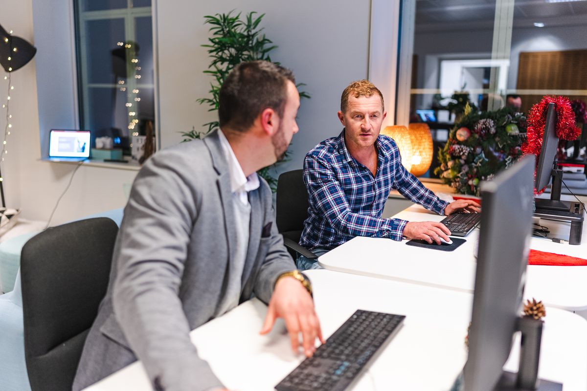 Two colleagues working through a task
